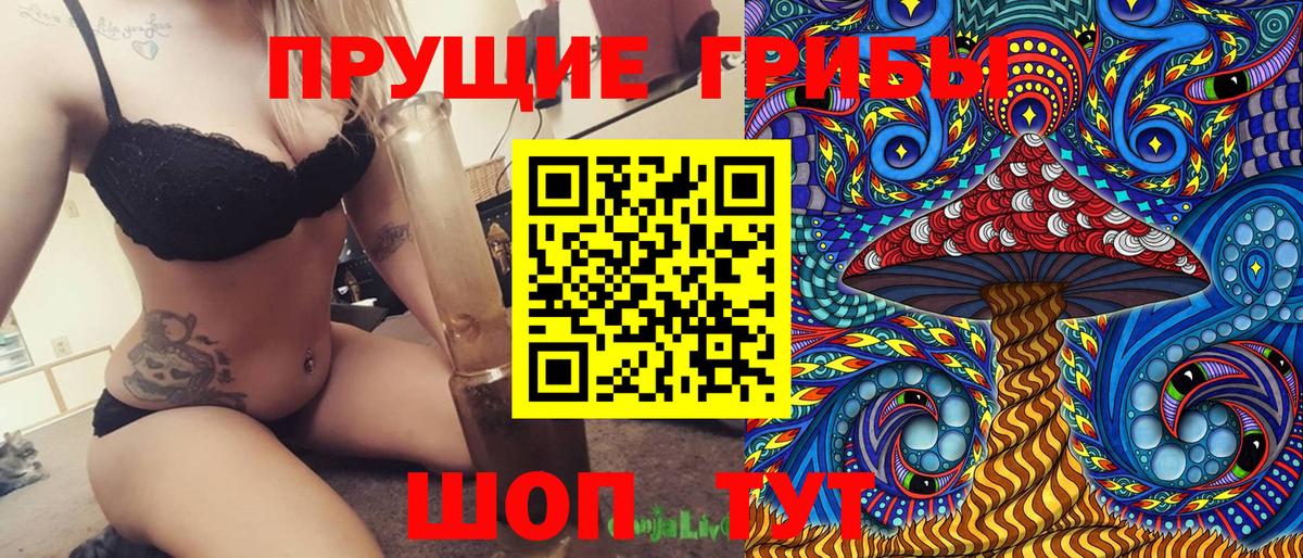 Псилоцибиновые грибы Psilocybine cubensis Елизово