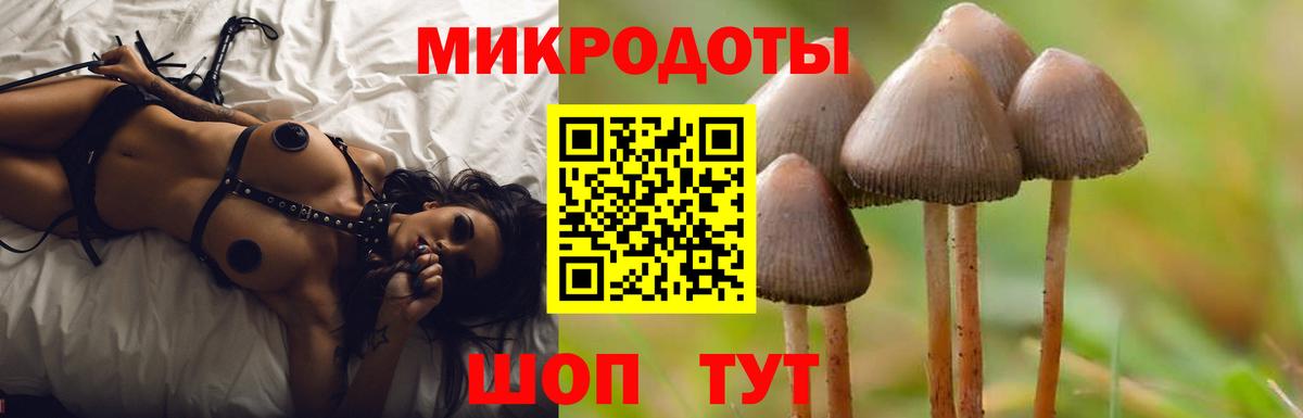 магазин  наркотиков  Псилоцибиновые грибы мицелий  Вход с VPN  Елизово 