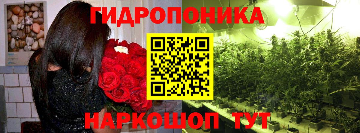 МАРИХУАНА марихуана  Вход с VPN  Конопля тримм  Елизово 